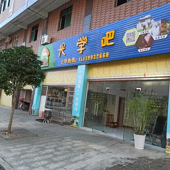 犬学吧:清远市
