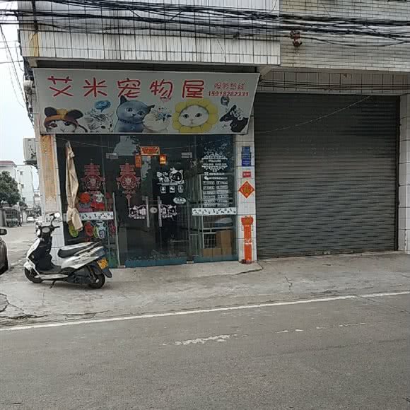 艾米宠物屋:中山市