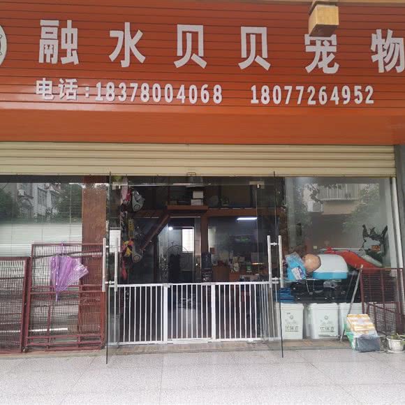 融水贝贝宠物:柳州市