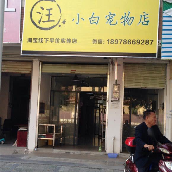 汪小白宠物店:桂林市