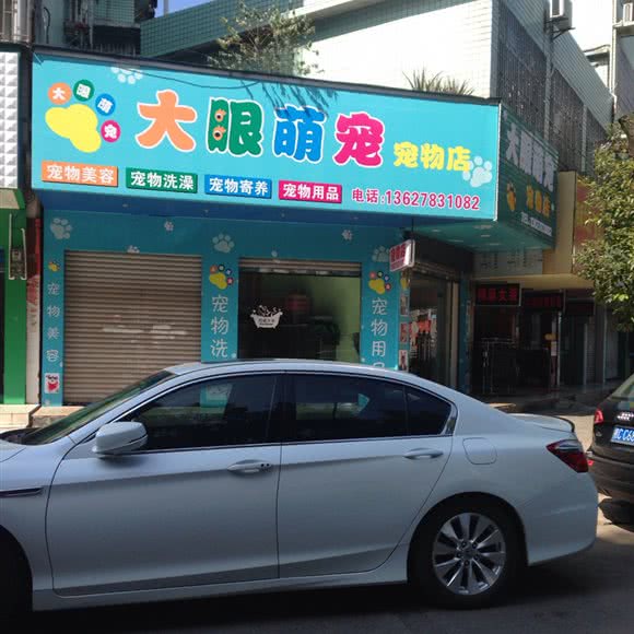 大眼萌宠宠物店:桂林市
