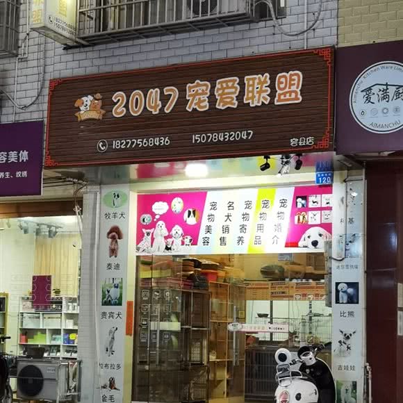 2047宠爱联盟(容县店):玉林市
