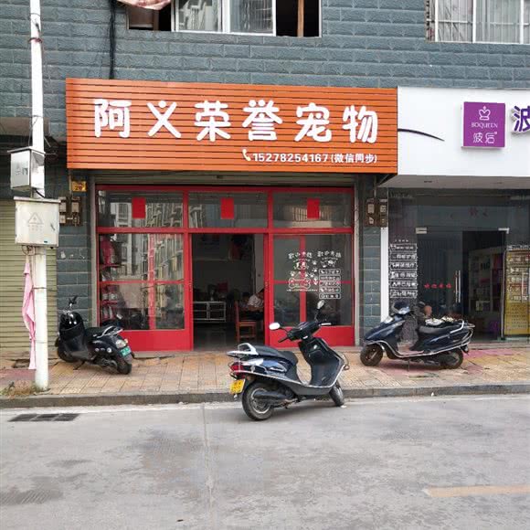 阿义荣誉宠物:玉林市