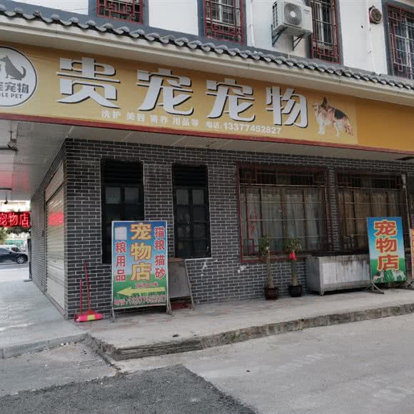 贵宠狗狗:玉林市