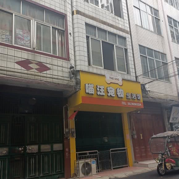 喵汪宠物生活馆:百色市