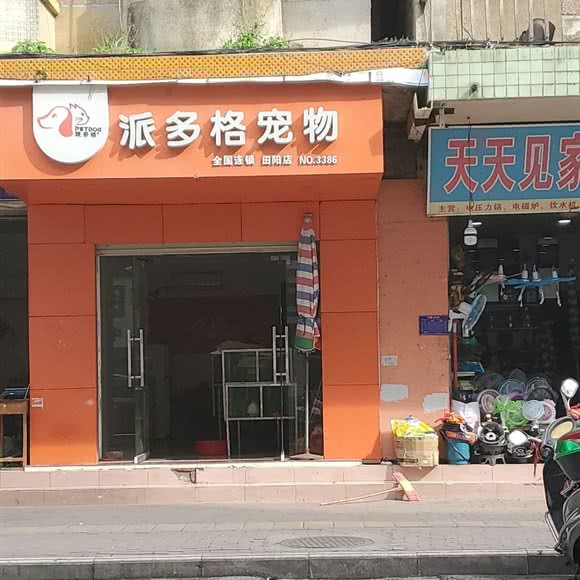 派多格宠物狗:百色市