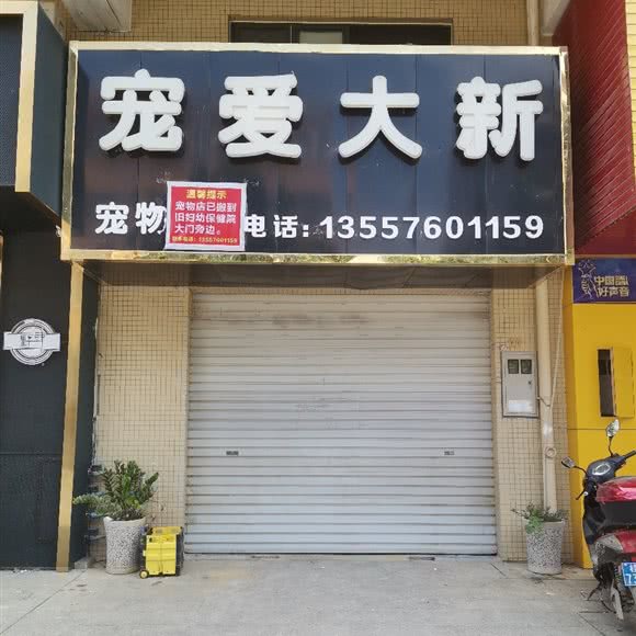 宠爱大新宠物店:崇左市