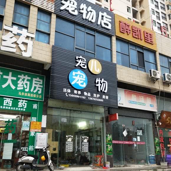 宠儿宠物店:儋州市