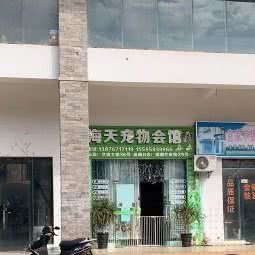 天海宠物会馆(清澜店):文昌市