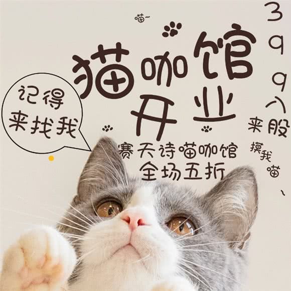 赛天诗喵:东方市