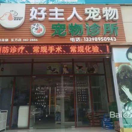 好主人宠物诊所:东方市
