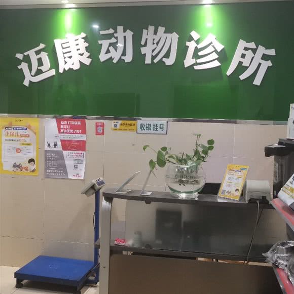 几江迈康动物诊所(迈康连锁动物医院几江店):重庆城区