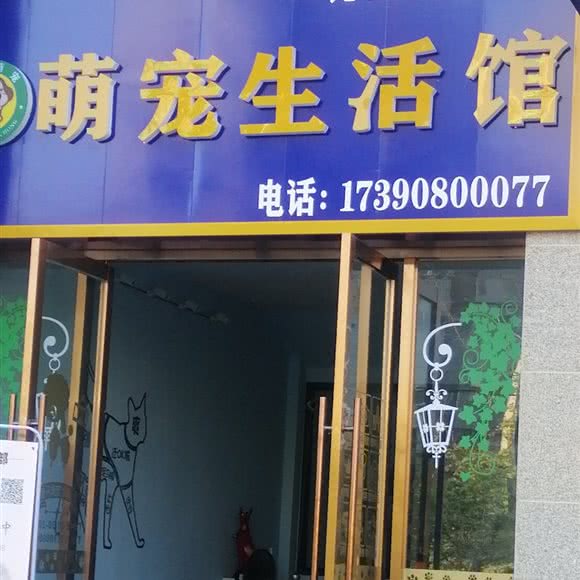萌宠生活馆:南充市