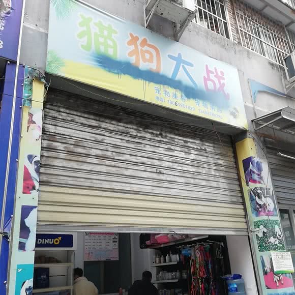 猫狗大战:眉山市