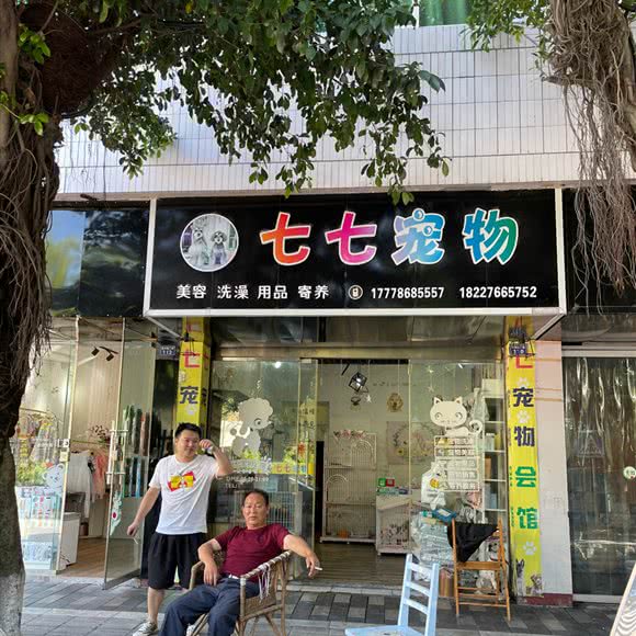 七七宠物会馆:雅安市