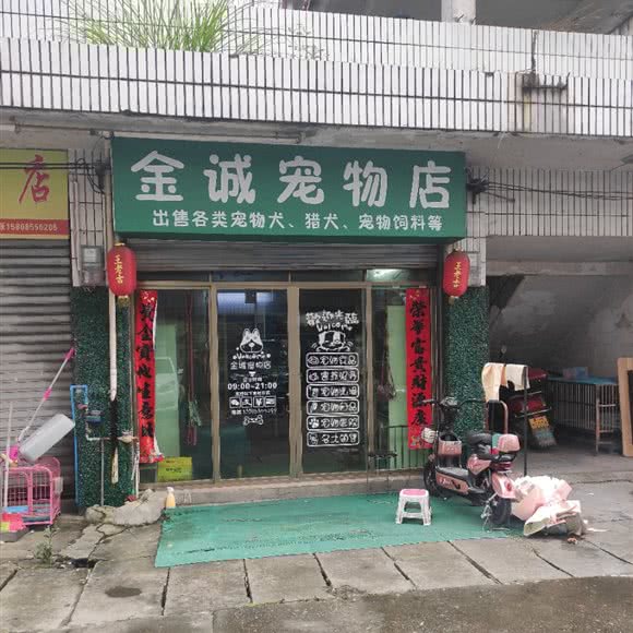 金诚宠物店:黔东南苗族侗族自治州