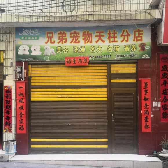兄弟宠物(天柱分店):黔东南苗族侗族自治州