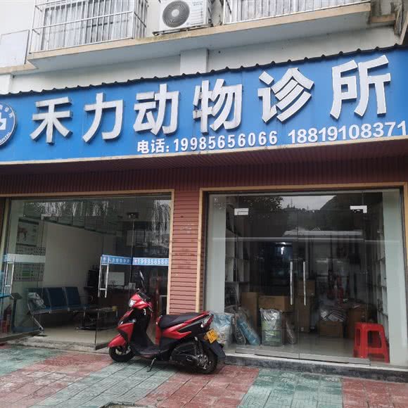 禾力宠物服务中心:黔东南苗族侗族自治州