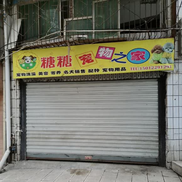 糖糖宠物之家宠物美容:昭通市