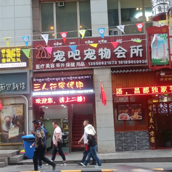 宠吧宠物会所:昌都市