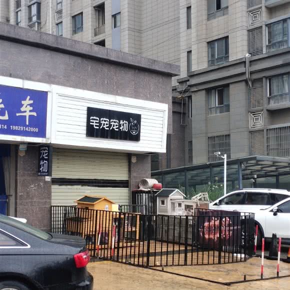 宅宠宠物:西安市