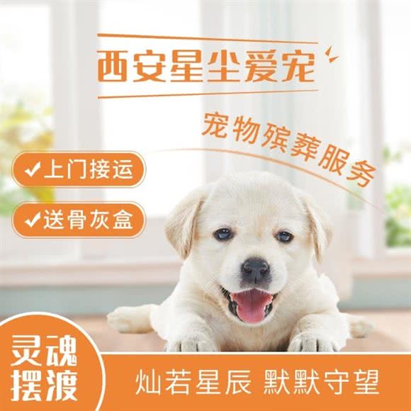 星尘宠物火化 殡葬无害化处理中心:西安市