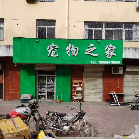 宠物之家:宝鸡市