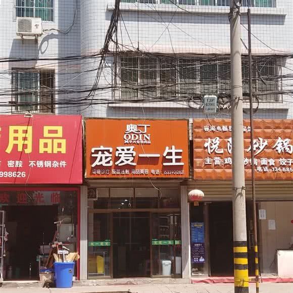 奥丁宠爱一生:咸阳市