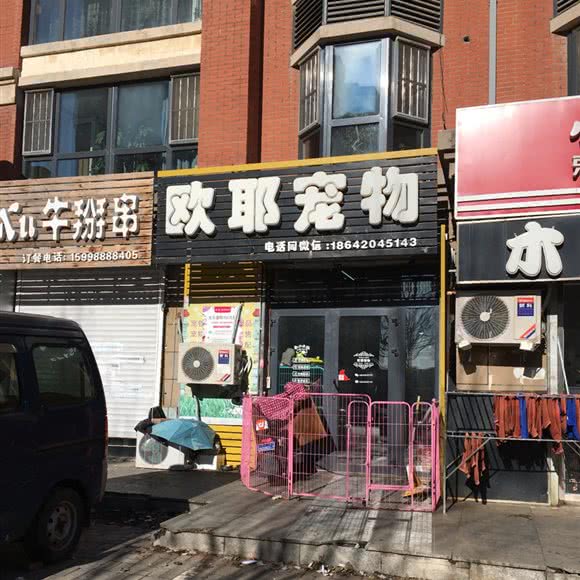 欧耶宠物:沈阳市于洪区荷兰村附近