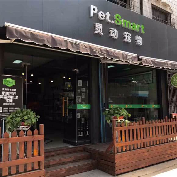 Pet.Smart灵动宠物:渭南市