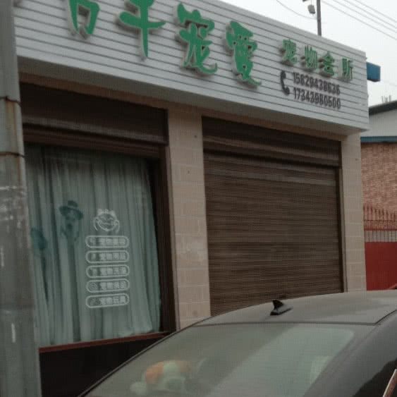 万千宠爱宠物会所:渭南市