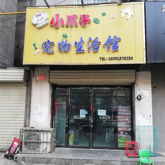 小爪子宠物生活馆:渭南市