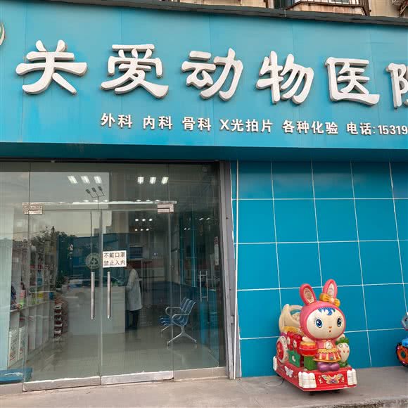 关爱动物医院:渭南市