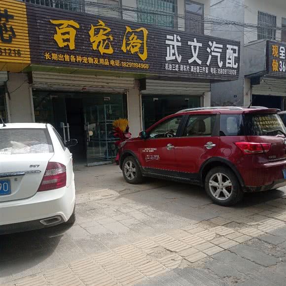 百宠阁:延安市