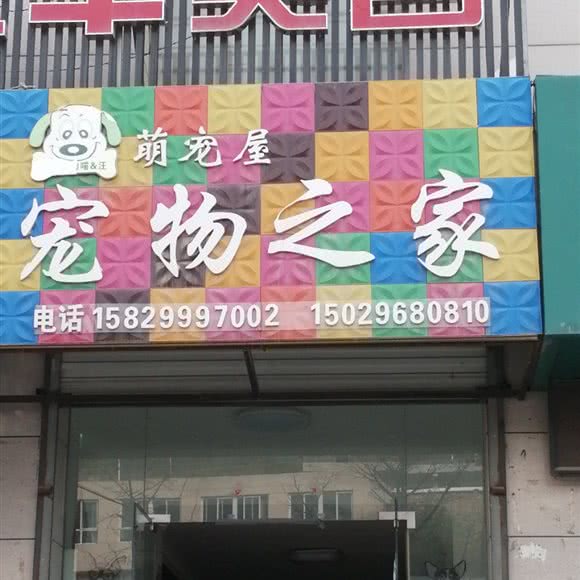 萌宠屋宠物之家:延安市