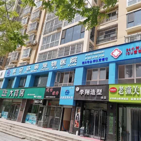 达萌宠物诊所(新城上城伍号店):延安市