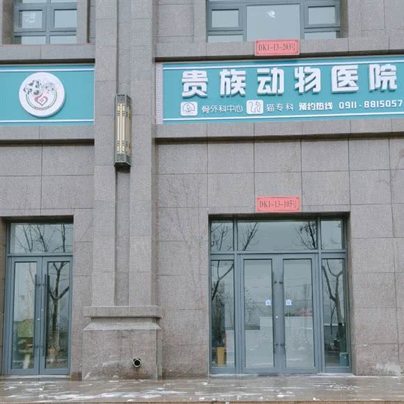 贵族动物医院(新城店):延安市