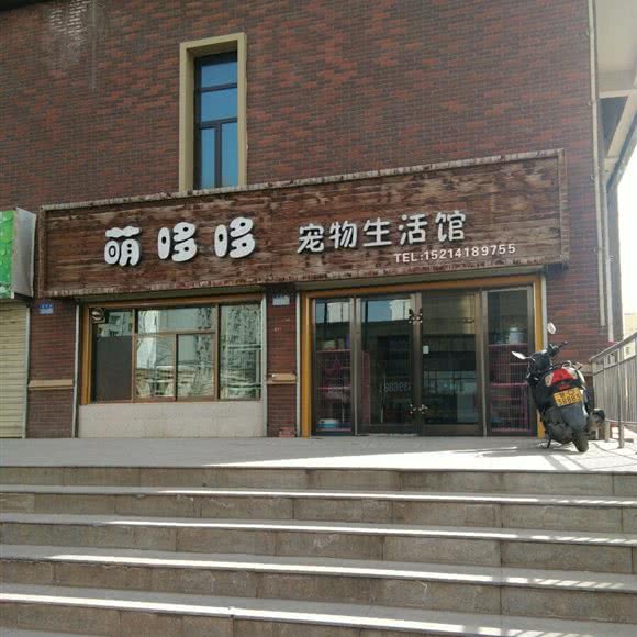 萌哆哆宠物生活馆:白银市