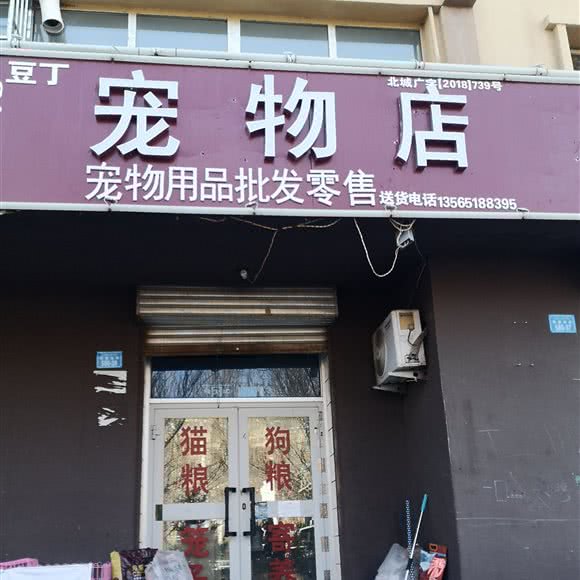 豆丁宠物店:北屯市