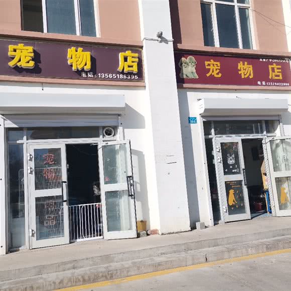 姗姗宠物店:北屯市