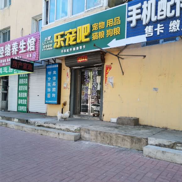 乐宠吧:沈阳市于洪区国奥现代城附近