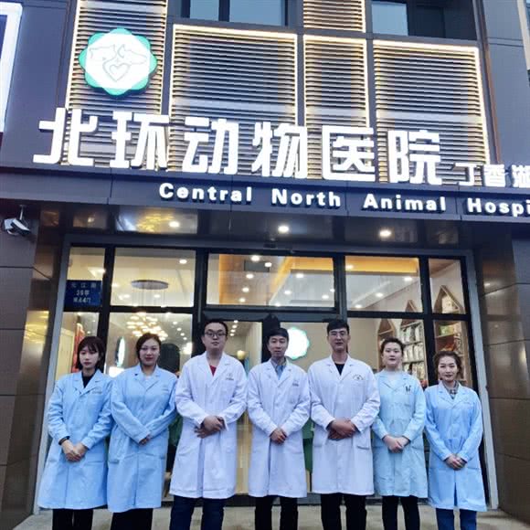 北环动物医院:沈阳市于洪区丁香湖附近
