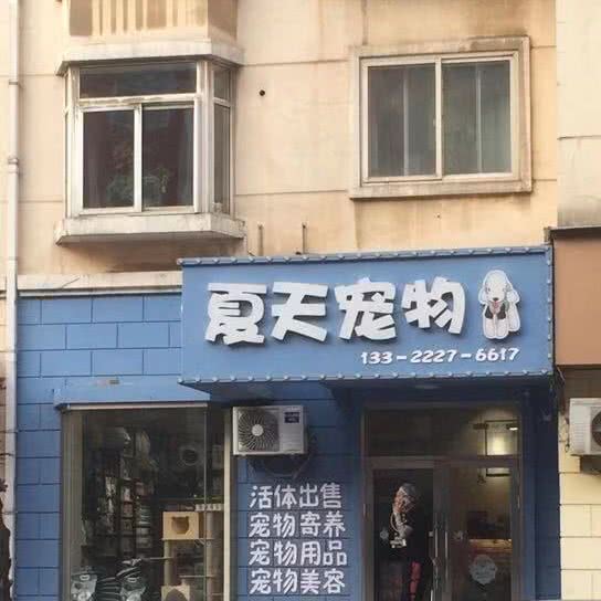 夏天宠物:大连市中山区胜利广场/青泥洼桥附近