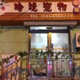 玲珑宠物:大连市中山区中山广场/延安路附近