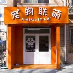 宠物联萌(Mr.咪Miss汪):大连市中山区中山广场/延安路附近