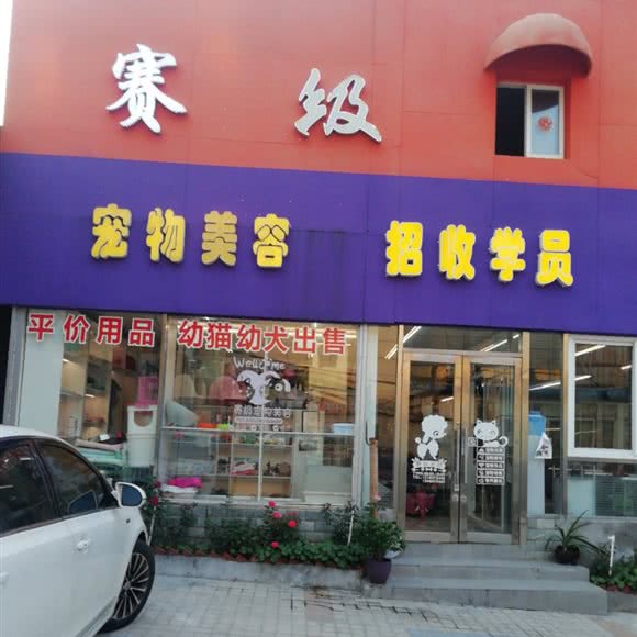 赛级宠物:大连市中山区天津街/人民路附近