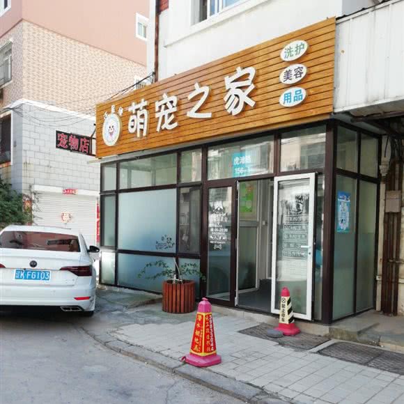 汪星缘萌宠之家:大连市中山区老虎滩附近