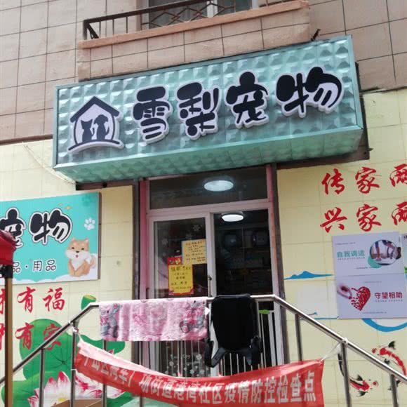 雪梨宠物:大连市中山区二七广场附近