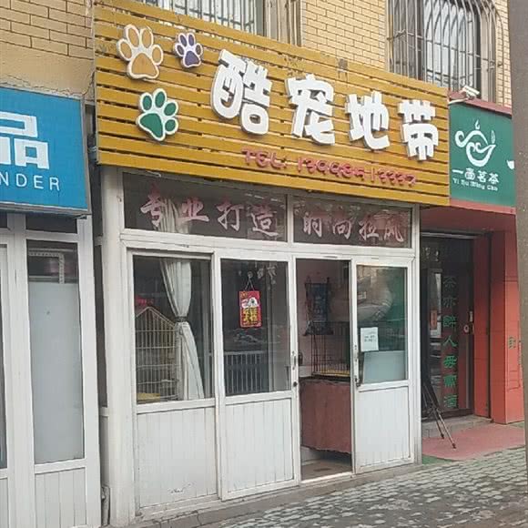 酷宠地带:大连市中山区二七广场附近