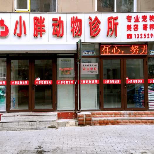 小胖动物诊所:大连市中山区二七广场附近